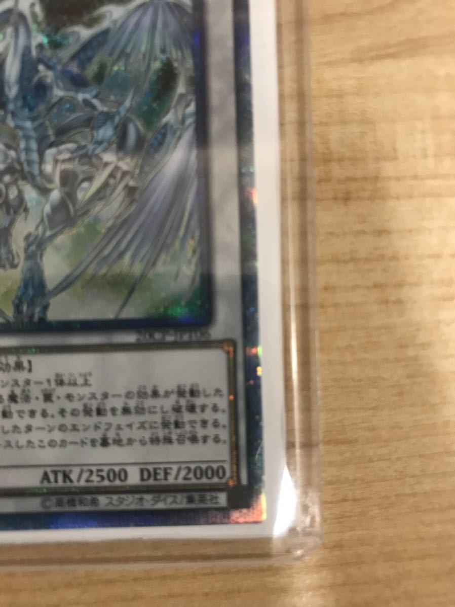 遊戯王 シク 遊戯王OCG スターダストドラゴン　20cp-jpt シークレット_画像5