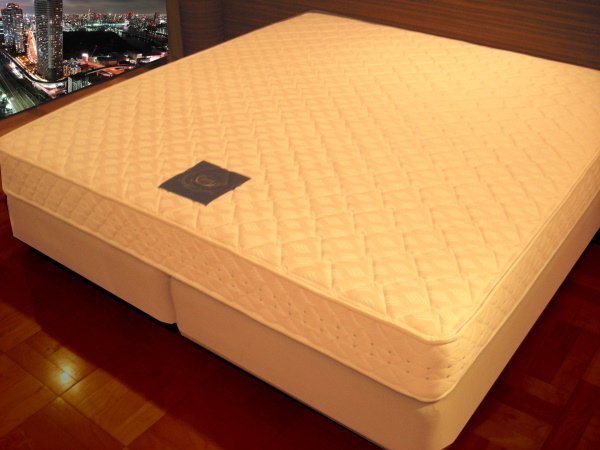 クイーンサイズ!高級ホテル★日本製◆高品質なホテルのベッドなら家でも安心!熟睡!もともと非売品(業務用,プロ仕様)ホテル向けラインナップ ロシアの行動