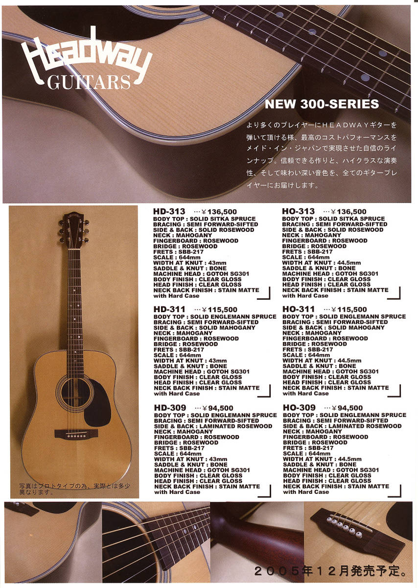 HEADWAY HD-311 純正ハードケース付き 総単板 オール単板 ドレッド