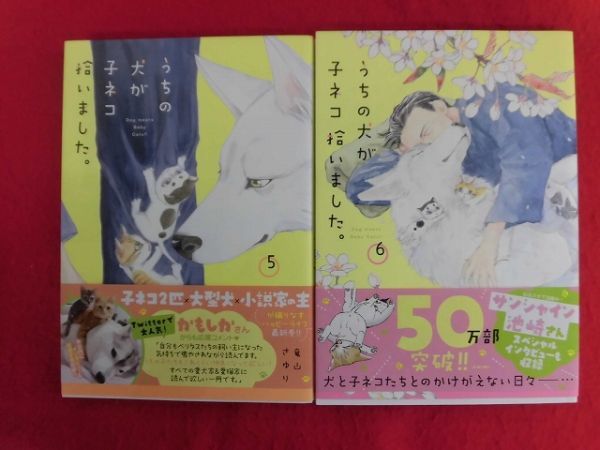 Q304 うちの犬が子ネコ拾いました。 5/6以下続刊2冊セット 竜山さおり 小学館Cheese!フラワーコミックススペシャル 2023年_画像1