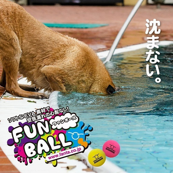 送料無料 「ファンボール」 ペット用玩具犬 猫 おもちゃ ボール FB-EVA 4995723304183_画像9