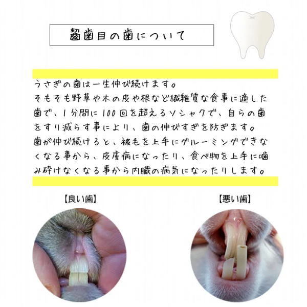 送料無料 「グッドバイト 小動物用 キャロット（1個入り）」イタリアferplast社製 チューイングトイ 88895924 8010690123295_画像3