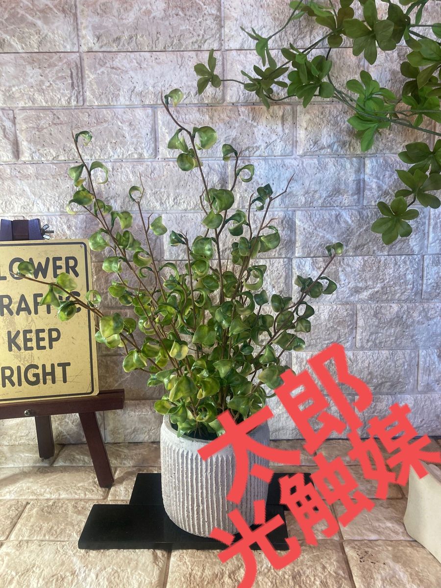 光触媒 人工観葉植物 ウォールグリーン フェイクグリーン ベンジャミン