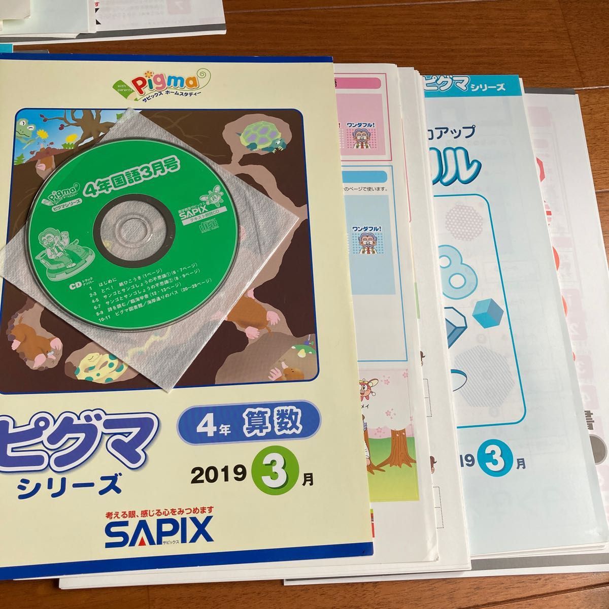 ⑯消し済み SAPIX サピックス ピグマ 4年生 一年分-
