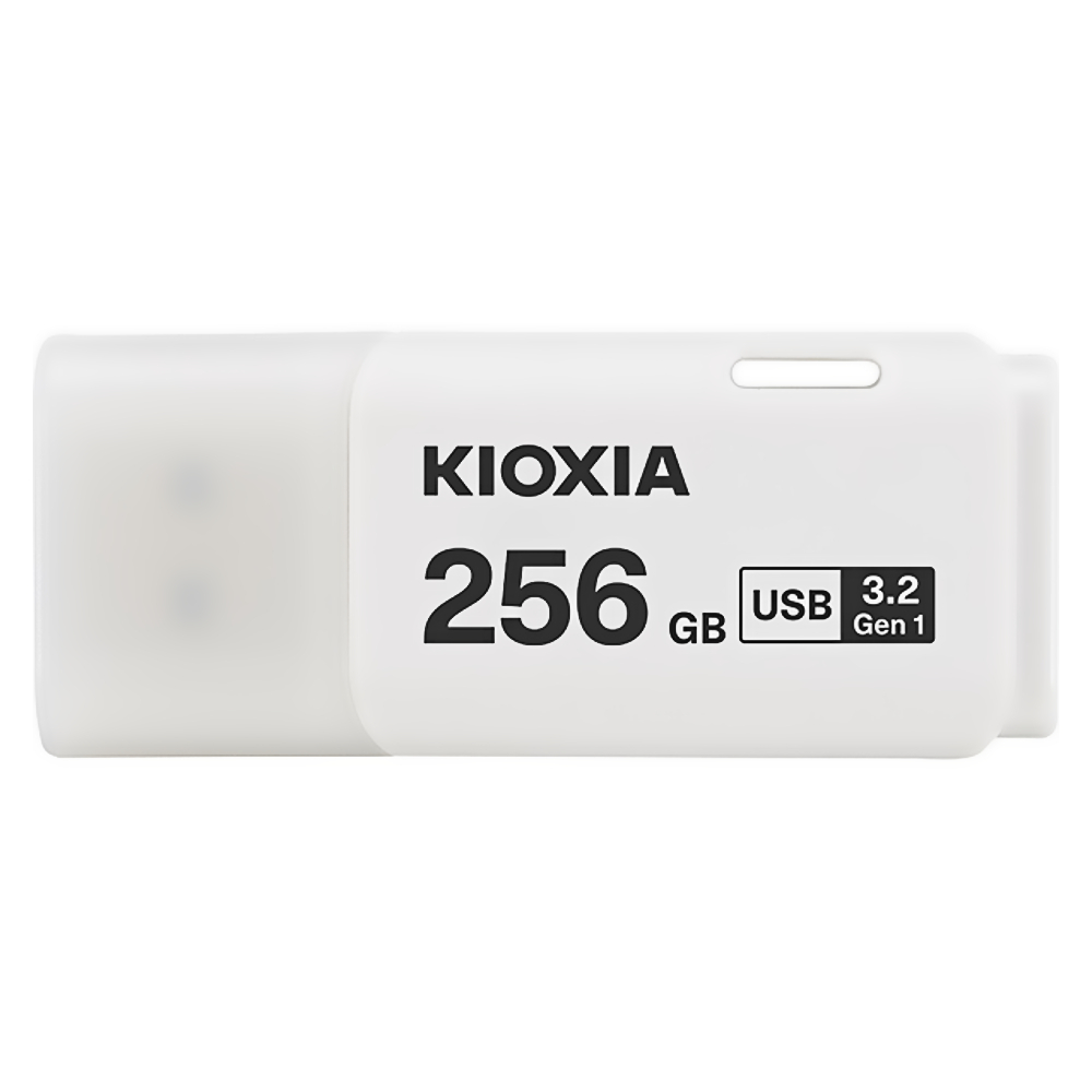 256GB USBメモリ USB3.2 Gen1(USB3.0) KIOXIA キオクシア(旧東芝) 256ギガ フラッシュメモリ LU301W256GG4/4802/送料無料_画像1