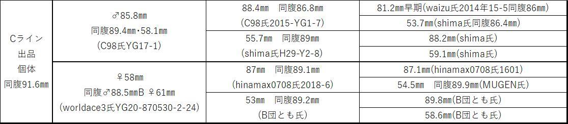 オオクワガタ（能勢ＹＧ）♂８２mmの画像4