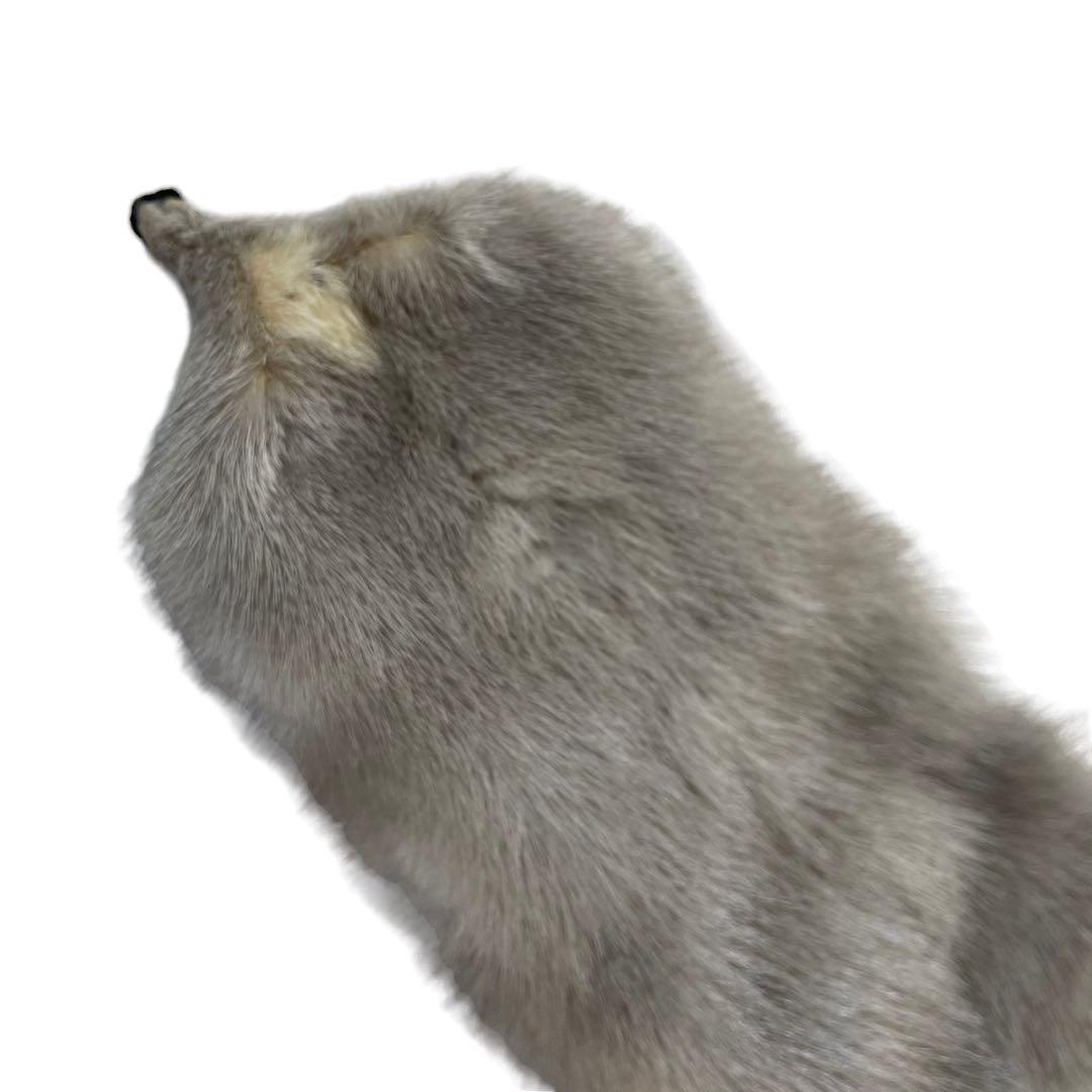  mink muffler face . tail gray 