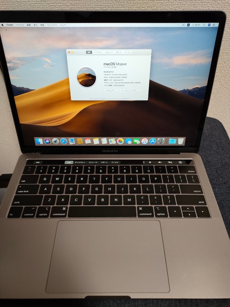 お見舞い MacBook ☆Apple Pro A1989 256GB Model SSD メモリ8GB