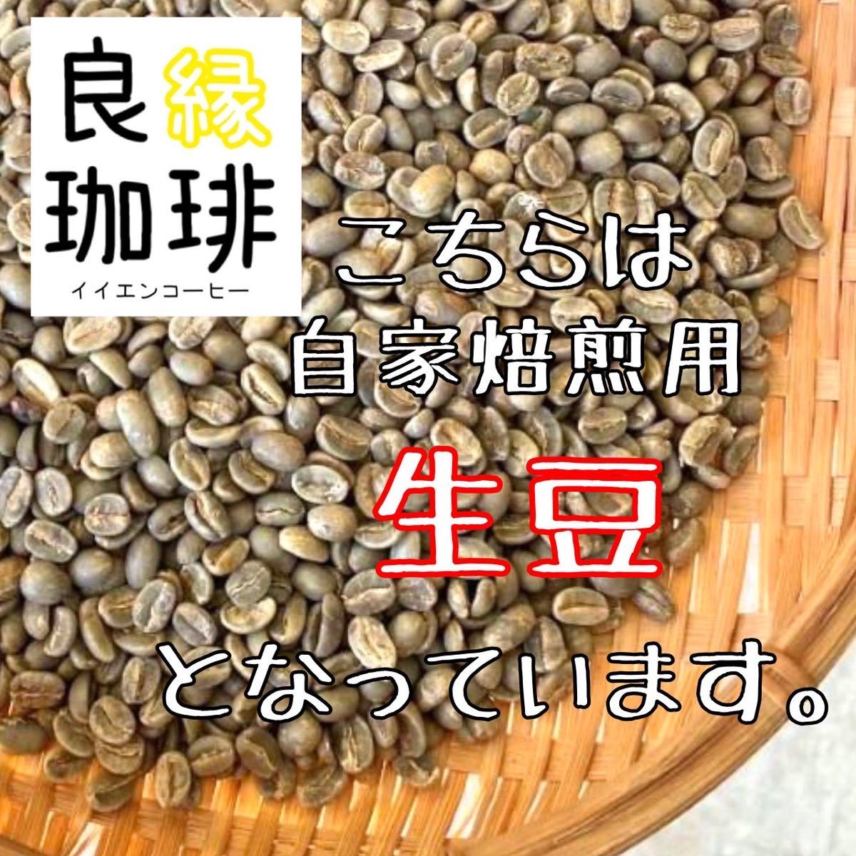 生豆 ブラジル クィーンショコラ Qグレード 800g コーヒー豆 珈琲豆