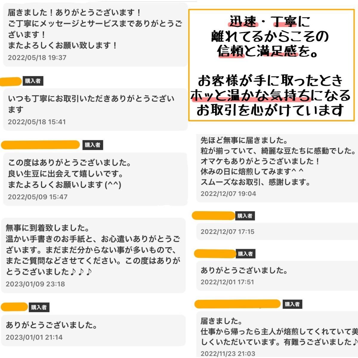 【最安値】生豆 ブラジル クィーンショコラ Qグレード 200g コーヒー豆　自家焙煎用 coffee