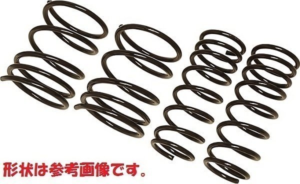 レーシングギア(RG) ローフォルムサス レヴォ...+sobrape.com.br