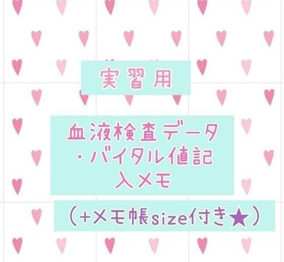 実習値下げ中☆看護学生　アセスメント　看護実習　看護過程　看護師国家試験