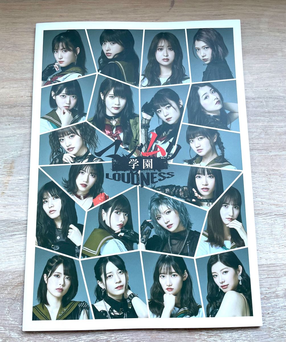販売終了品！未使用！AKB48 マジムリ学園 LOUDNESS パンフレット