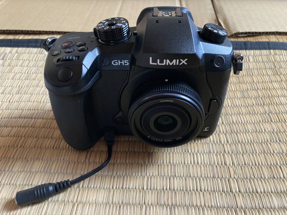 セガ　プリクラ　ララミー用デジタルカメラ　LUMIX GH5　ACアダプタ　DMW-AC10・_画像1