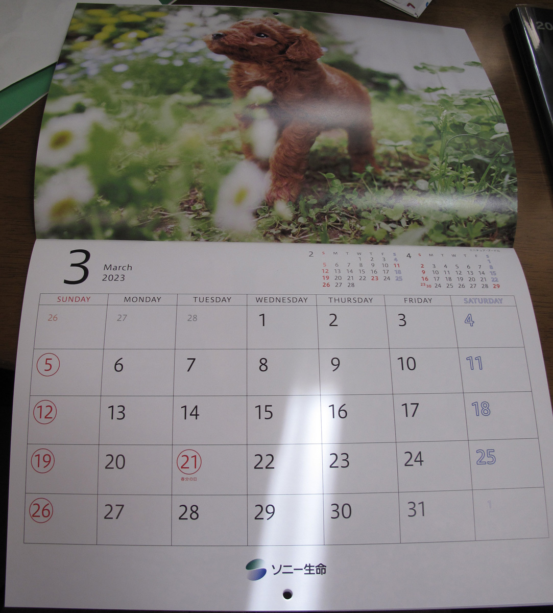 「ゆかいな子犬たち」　　2023年カレンダー　　ソニー生命　　_画像3