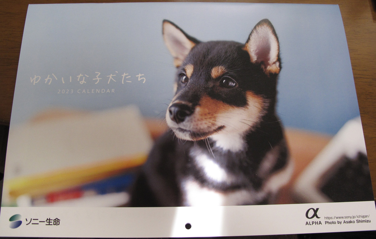 「ゆかいな子犬たち」　　2023年カレンダー　　ソニー生命　　_画像1