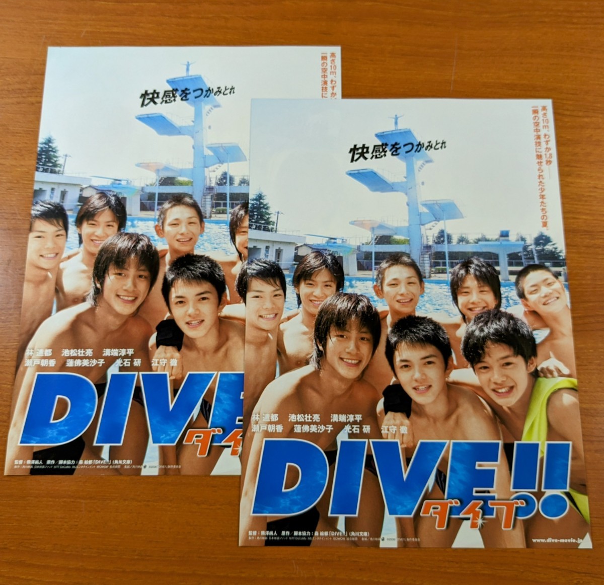 チラシ 映画「ＤＩＶＥ!! ダイブ」２枚セット。２００８年 、日本映画。_画像1