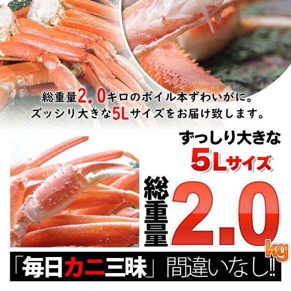 【7個出品】 ボイル ズワイガニ 約 2kg 特大 5L 極上品 さんきん1円_画像3