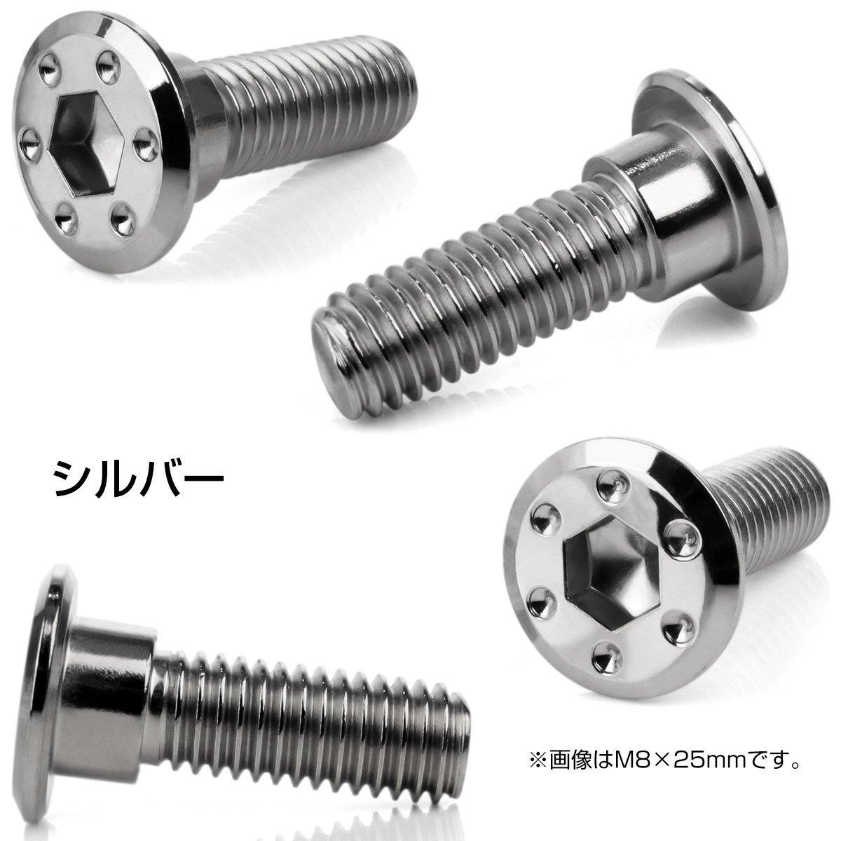 ホンダ用 ブレーキ ディスクローター ボルト M8×25mm P=1.25 ステンレス 削り出し シンホールヘッド シルバー TD0267_画像2