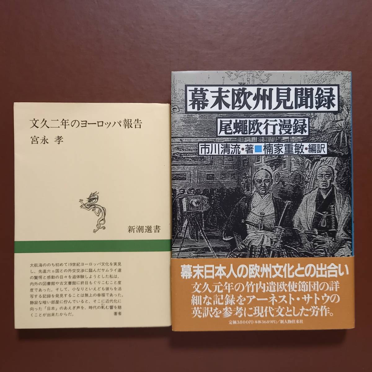 《2冊》宮永孝「文久二年のヨーロッパ報告」、市川清流 著、楠家重敏 編訳「幕末欧州見聞録　尾蠅欧行漫録」（新人物往来社、1992年）_画像1