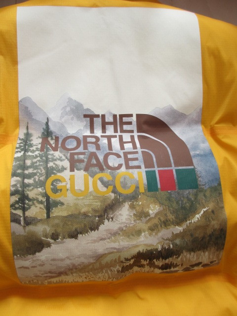 激レア 新品タグ付き GUCCI ノースフェイスコラボ 即完 ダウン 激レア 新品タグ付き GUCCI ノースフェイスコラボ 即完 ダウン