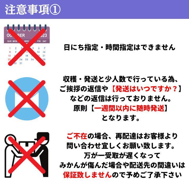 甘い！【有田より産地直送】高いコスパ！数量限定！甘い 有田みかん3kg 早生_画像9