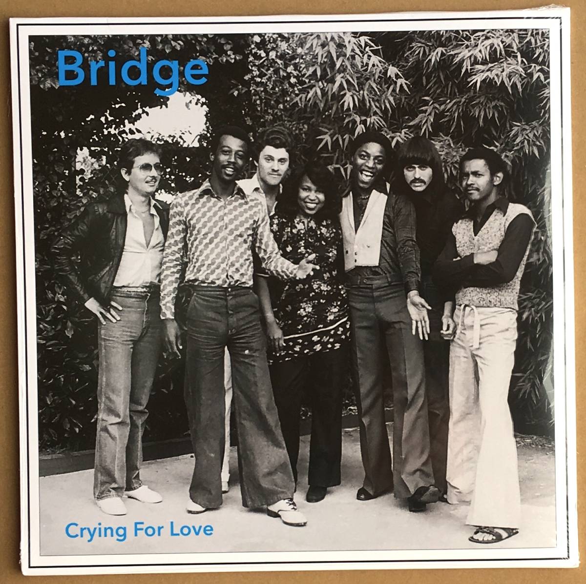 Bridge Crying For Love アナログ盤 2LP レコード 未開封新品 AOR モダン・ソウル ハワイ レアグルーヴ アルバム