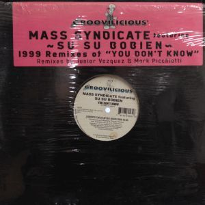 12inchレコード MASS SYNDICATE / YOU DON'T KNOW (1999 REMIXES)_画像1