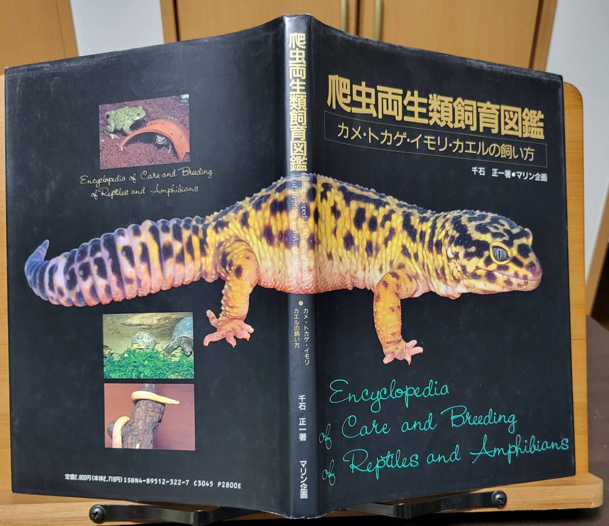 . insect amphibia breeding illustrated reference book - turtle * lizard * newt * frog. .. person 1991/5/1 thousand stone regular one ( work )