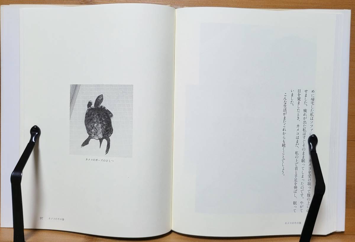 うちのカメ―オサムシの先生カメと暮らす 1994/4/1 石川 良輔 (著), 矢部 隆（解説）_画像8