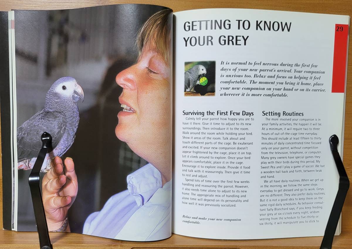 African Grey Parrots アフリカン・グレイ・パロット　ヨウムの飼育マニュアル　洋書　英語版_画像5