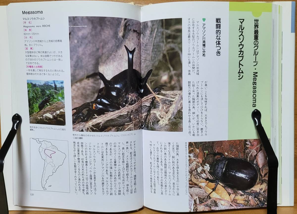 動物百科 BEETLES カブトムシの百科 海野和男（著） データハウスの画像8