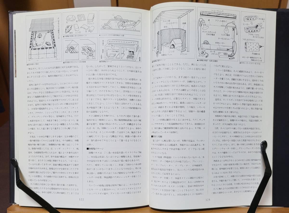 爬虫両生類飼育図鑑―カメ・トカゲ・イモリ・カエルの飼い方 1991/5/1 千石 正一 (著)_画像9