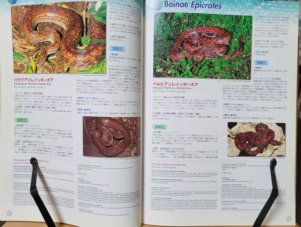  snake. book@ boa * python. company .. illustration & breeding * breeding manual real e stay to reptiles 