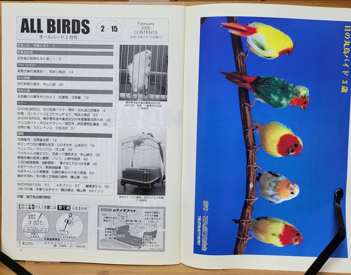 ALL BiRDS 月間オールバード　愛鳥家専門誌　2006年2月号_画像3