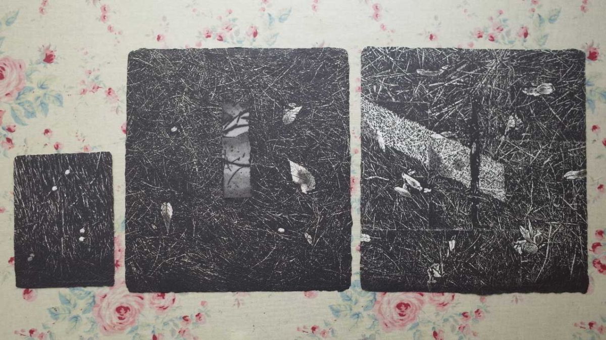 中林忠良銅版画集 オリジナル版画3点挿入-