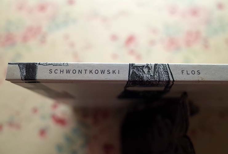 50849/洋書 ノベルト・シュワンコウスキー作品集 NORBERT SCHWONTKOWSKI FLOS Eva Schmidt Salon-Verlag, 1999年_画像2