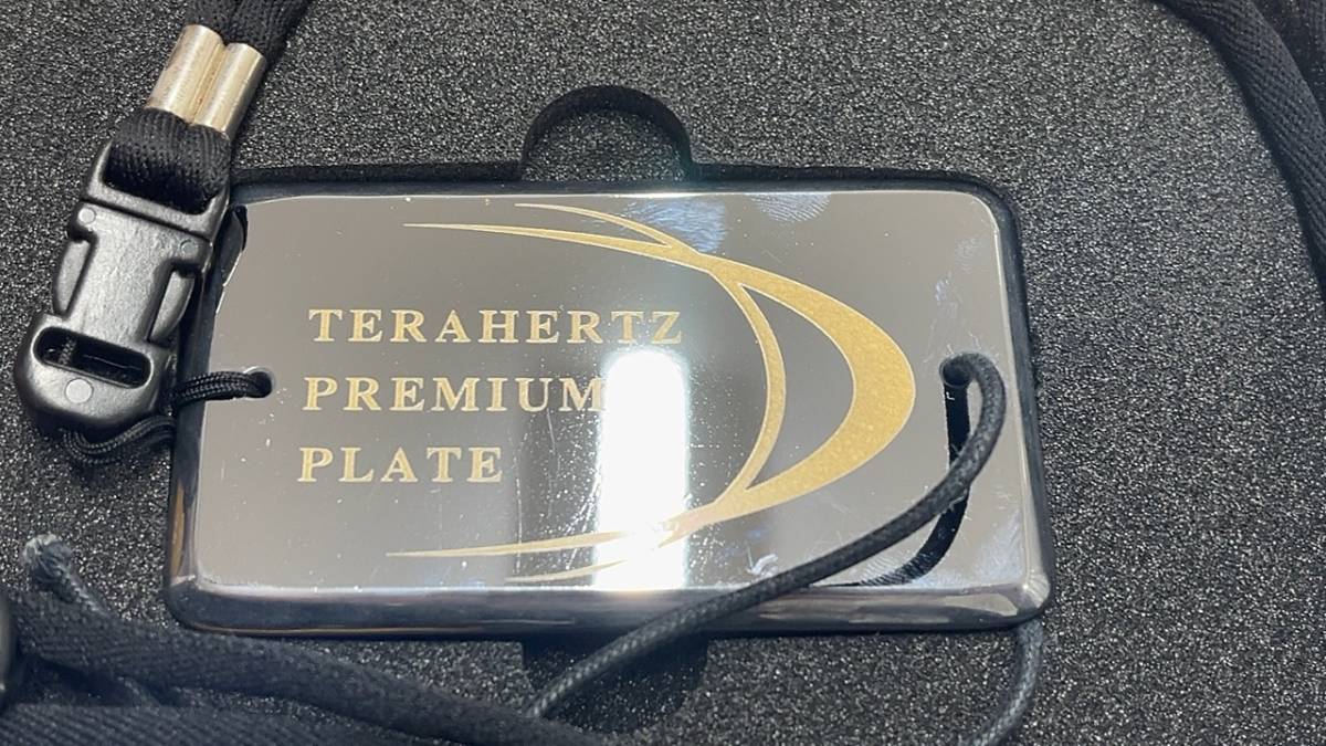 3838 テラヘルツ プレミアム プレート ネックレス ペンダント TERAHERTZ PREMIUM PLATE 中古 箱付き_画像2