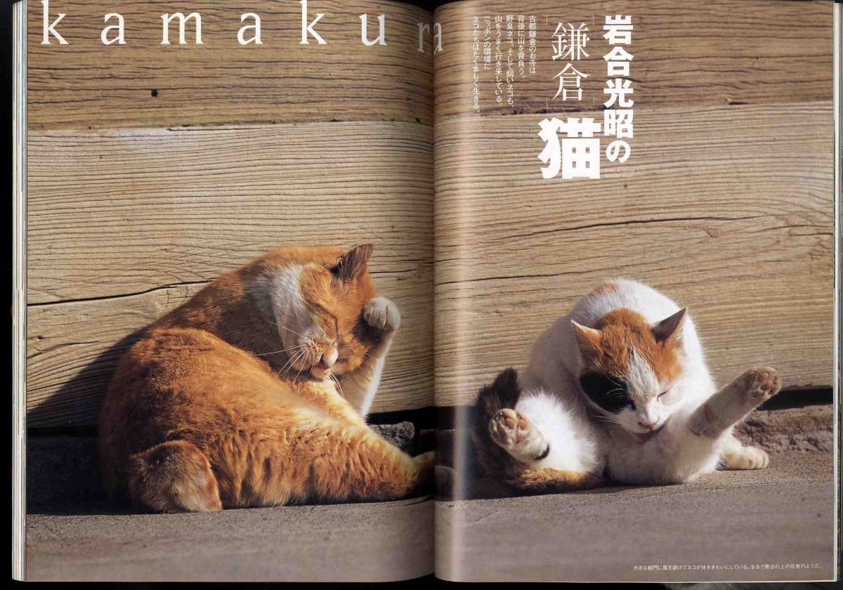 【d7709】02.7 猫びより／ヨーロッパ猫の旅、岩合光昭の猫 鎌倉、…_画像4