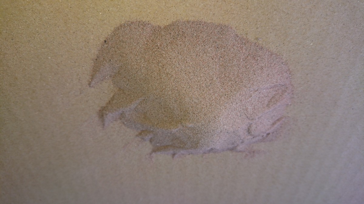 サンドブラスト 砂 ガーネット#120 約10kg_画像1