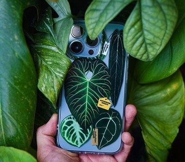【iphone 14 Pro MAX】熱帯植物 スマホケース 観葉植物 希少 インテリア プレゼント 海外 おすすめ 人気 デザイン_画像6