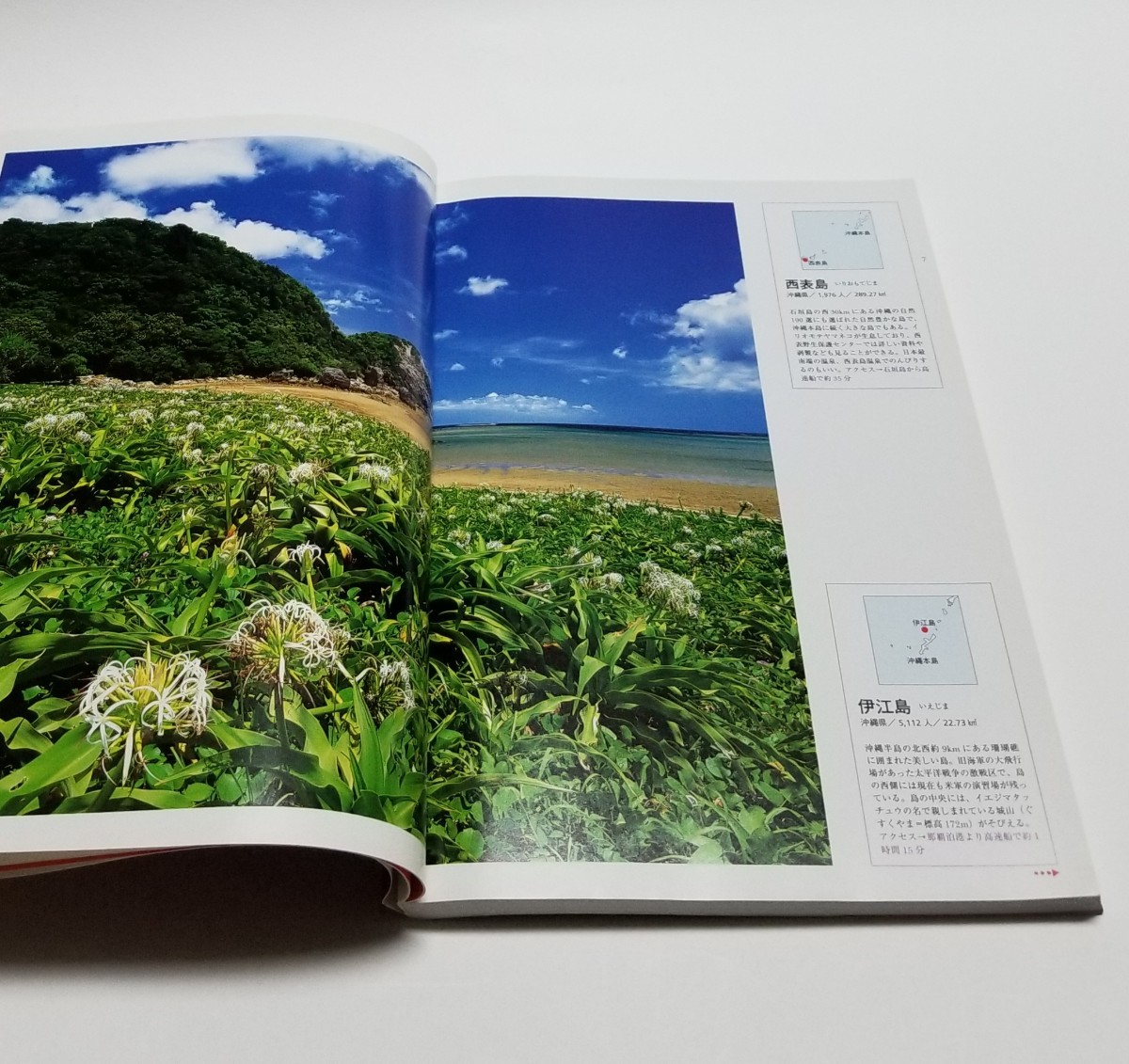 日本の島々 世界名景紀行 かけがえのない風景９９島　ピエブックス　2005年初版_画像6