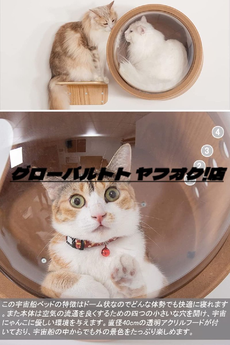 人気美品★ 猫 キャットウォーク キャットステップ ベッド ハウス 壁付け 天然木