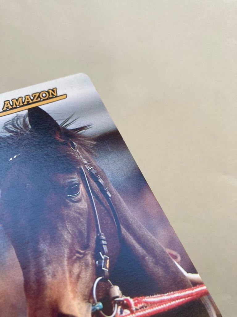 NNO ヒシアマゾン まねき馬倶楽部 競馬 カードの画像3