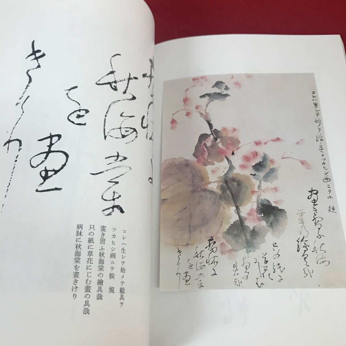 j-363 ※12 紅絲 書の歴史と 美を探る 紅絲四十三号 鈴木史楼_画像5