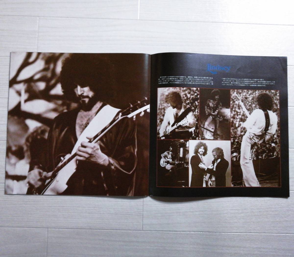 Fleetwood Mac Tour in Japan フリートウッド・マック 1977年 来日公演パンフレット 美品 グッズ_画像3