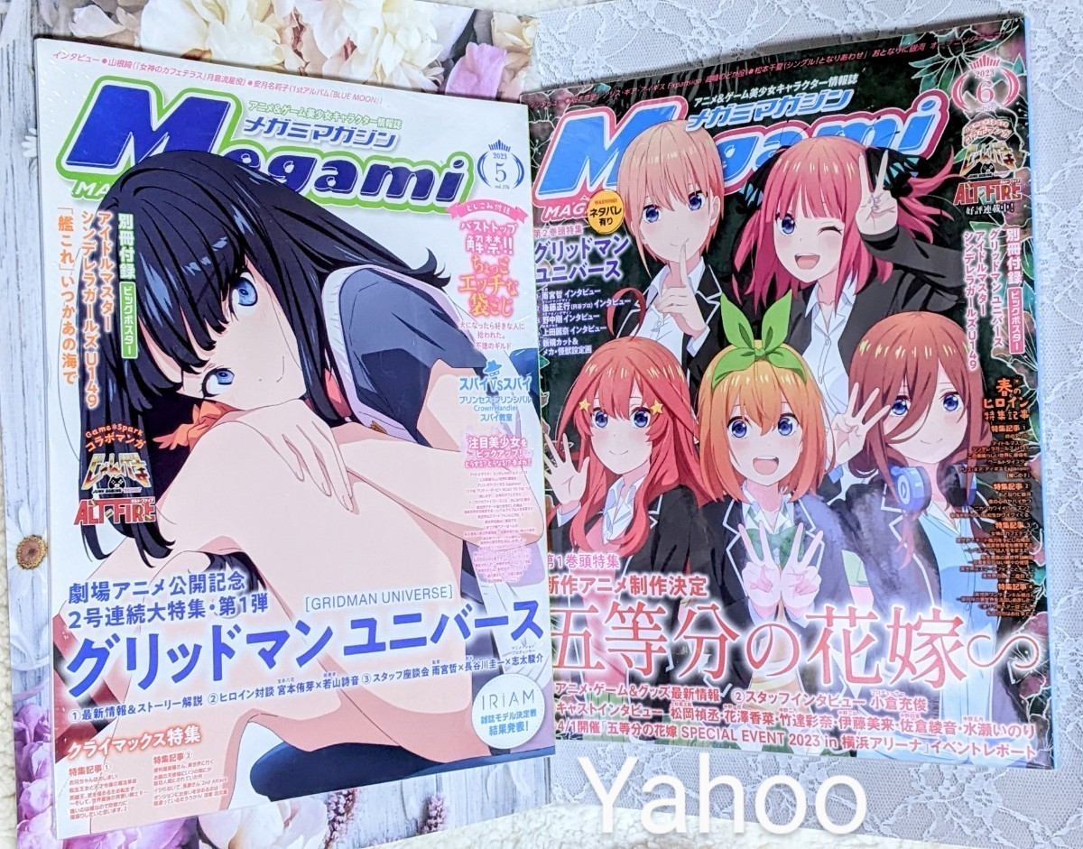 人気アイテム Megami Magazine(メガミマガジン)2023年5月号+6月号 新品
