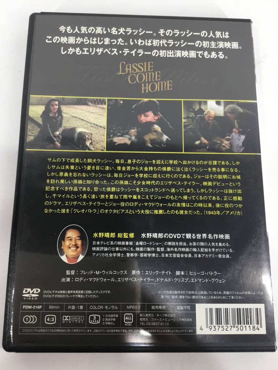 ★DVD★名犬ラッシー～家路～　1943年作品　動作品【4枚まで同梱可　送料210円】_画像2