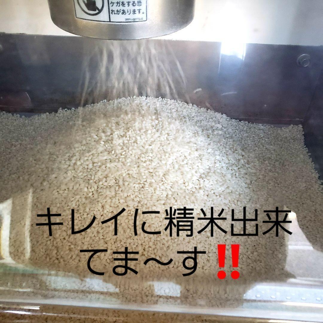 令和5年産棚田で育った特Aさがびより10キロ