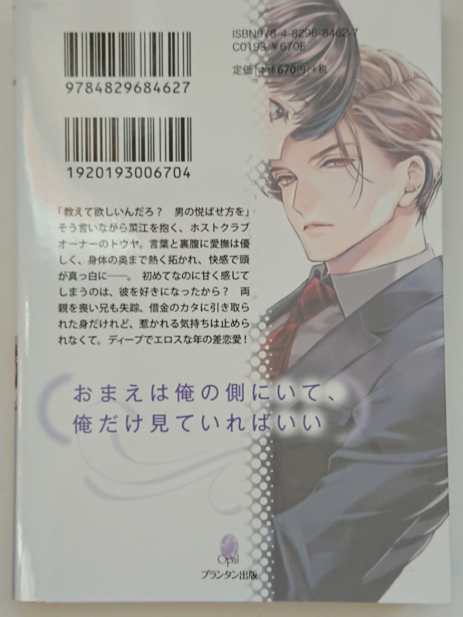 オパール文庫『百戦錬磨の大人男子は初心な彼女を全力で愛したい』斉河燈/北沢きょう_画像2